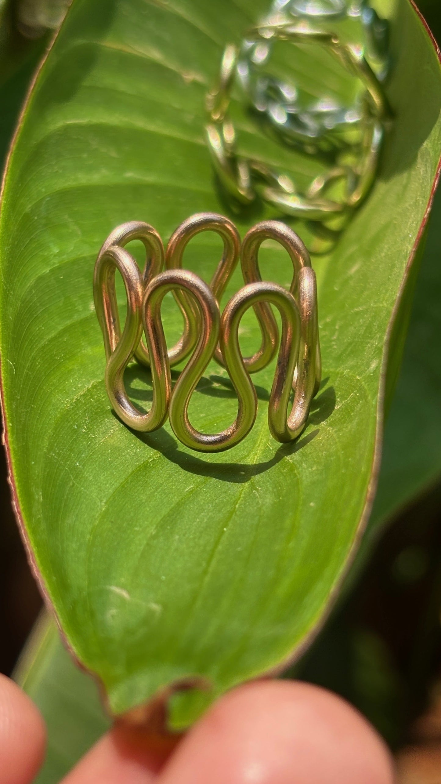 Wiggle Wiggle Rings